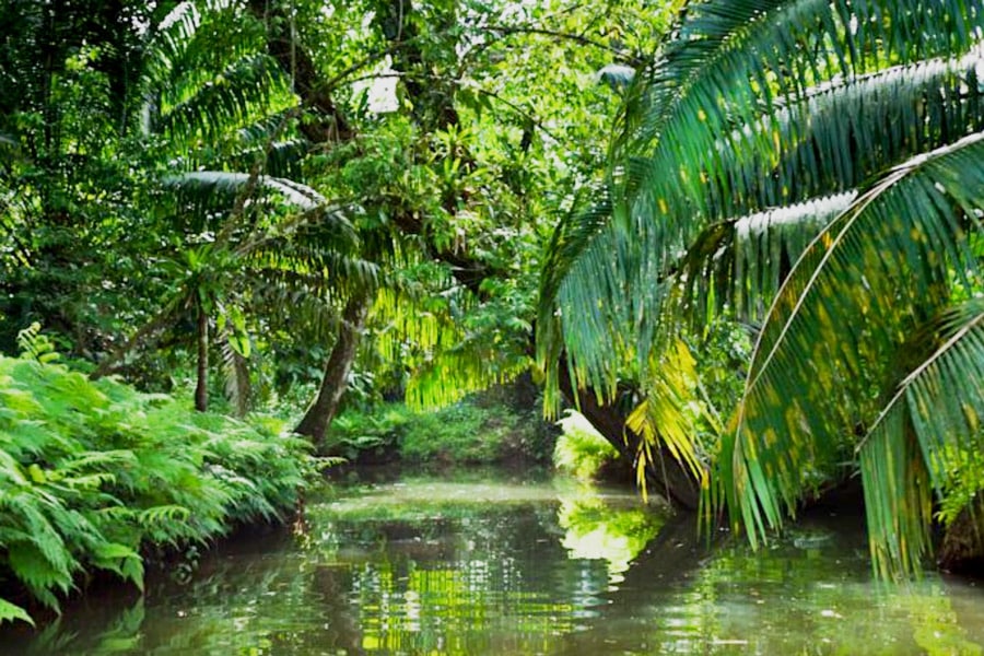 Is Bocas del Toro Worth Visiting? The Bocas del Toro Expat Blog