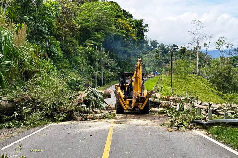 A tractor clears a fallen tree roadblock in bocas del toro during the 2025 protests against law 462