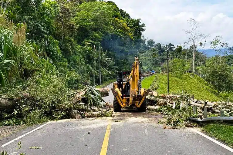 A tractor clears a fallen tree roadblock in bocas del toro during the 2025 protests against law 462