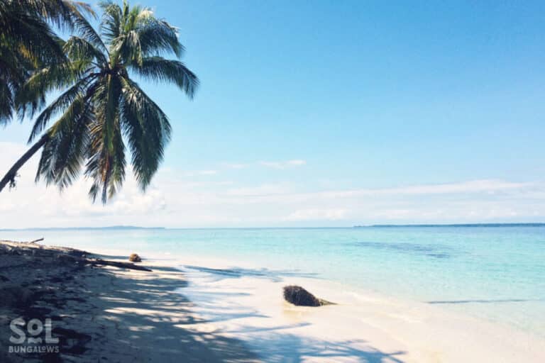 The BEST TIME to Visit Bocas del Toro + Monthly Weather Guide