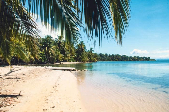An Empty beach with calm, clear water at Boca del Drago in Bocas del Toro