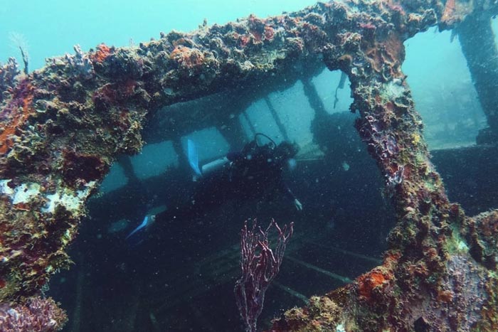 One of the best things to do on Isla Solarte is to scuba dive one of the two shipwrecks located just offshore.