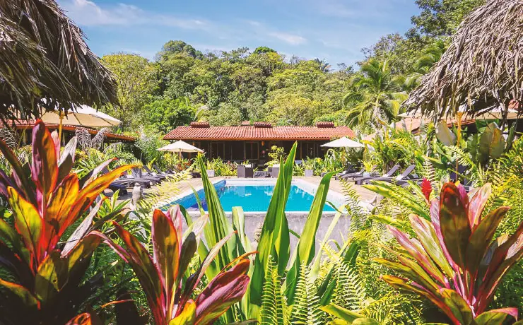 A pool with green and red tropical plants in the foreground and thick rainforest in the background at Island Plantation in Bocas del Toro on Isla Colon.