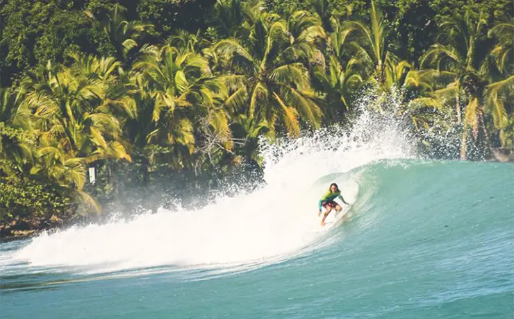 Man surfing in a tube in Panama, with green palm trees in background and turquoise water.
