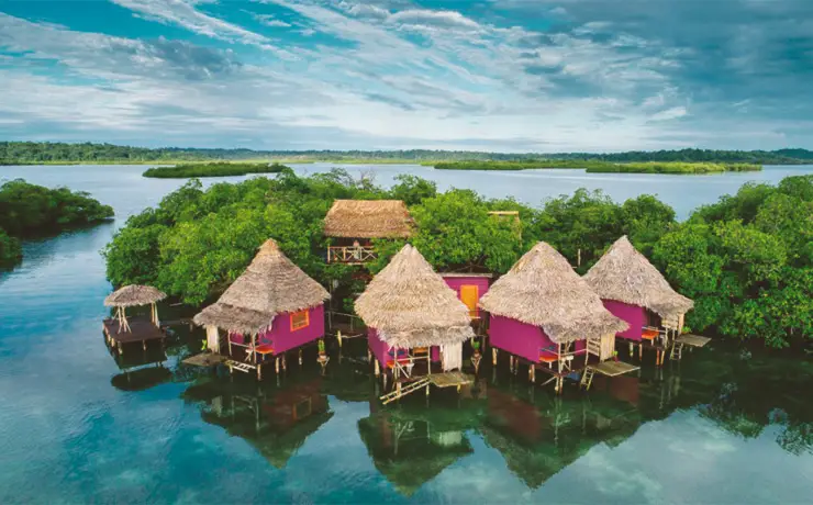 Purple and pink painted overwater bungalows with thatch roofs on a mangrove island in Bocas del Toro Panama.