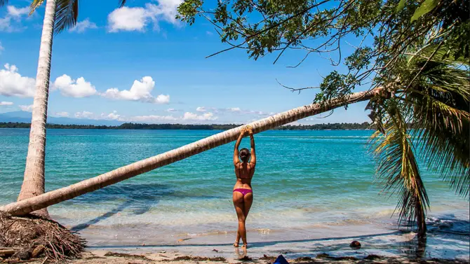 Mokum Surf Club model poses on a palm tree in Boca del Drago, Bocas del Toro.