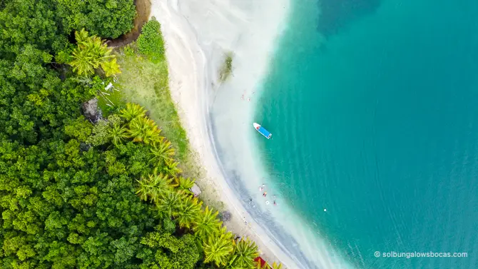 Starfish Beach is the #7 best beach in Bocas del Toro, Panama.