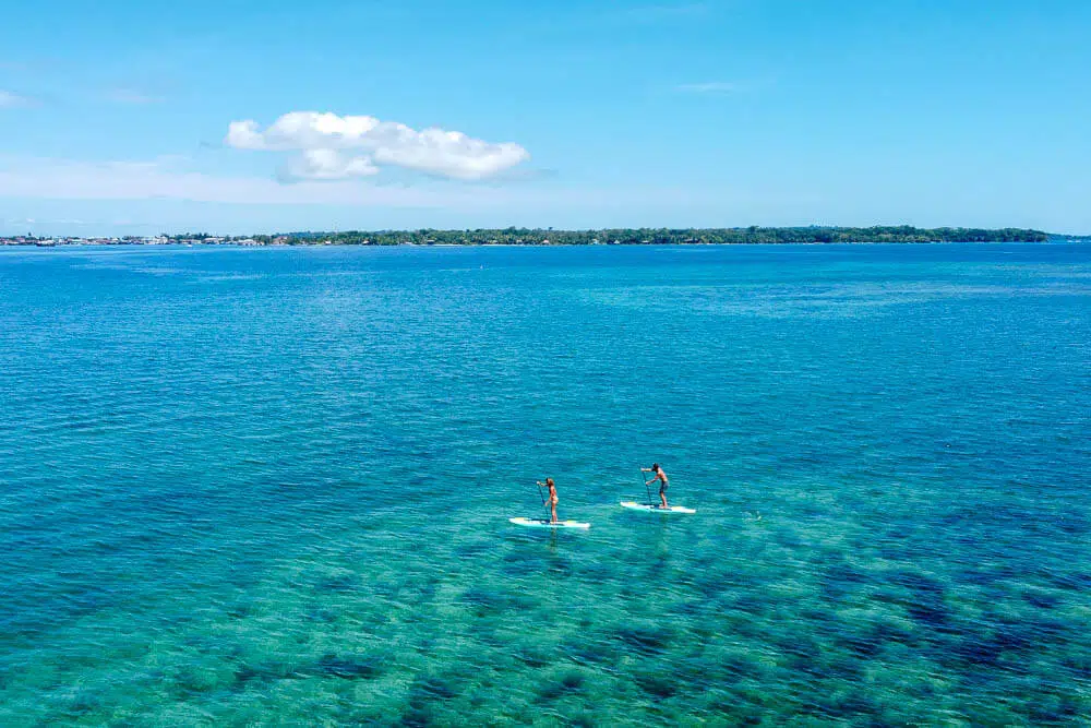 Two paddle boarders paddle around Isla Solarte over shallow water where coral can be seen below.