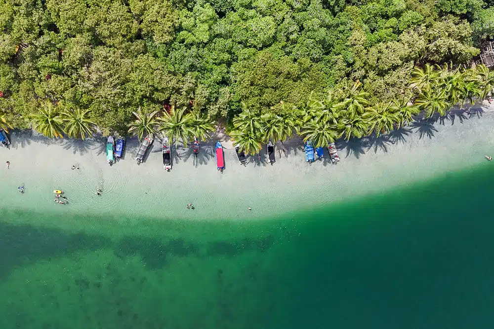 Starfish Beach on Isla Colon from a drone, with green water and green palmtrees and a white sand beach with Panga boats lining the shore.