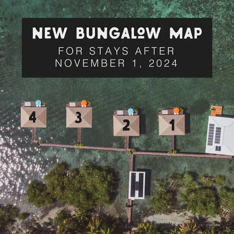 New Bungalow Construction Map at Sol Bungalows