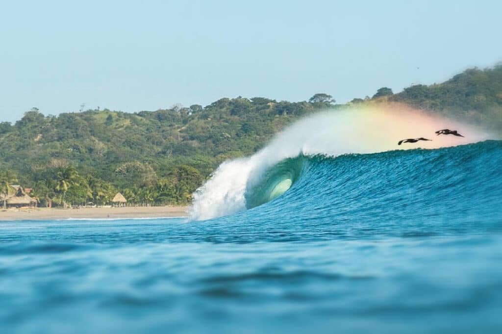 playa venao surfing in panama, with pelicans flying through a rainbow on a surf wave.
