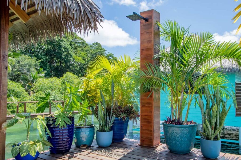 Shower off with a fresh rainwater shower after a dip in the ocean or a hike in the jungle.