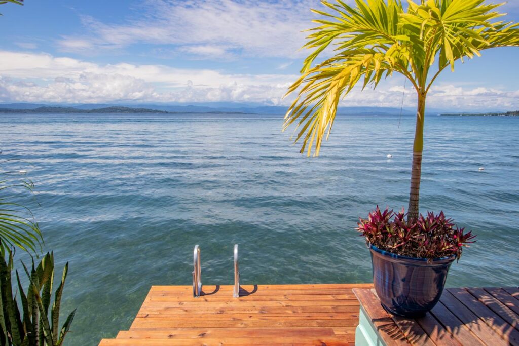 Dive in to Bocas del Toro's warm Caribbean waters, where untold secrets await!